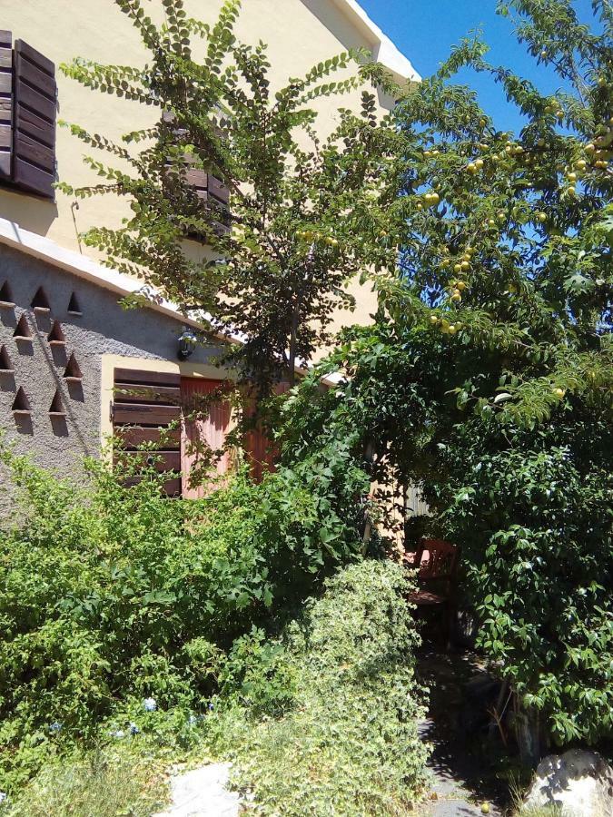 Carlo'S Country House Castellina Marittima Exterior photo
